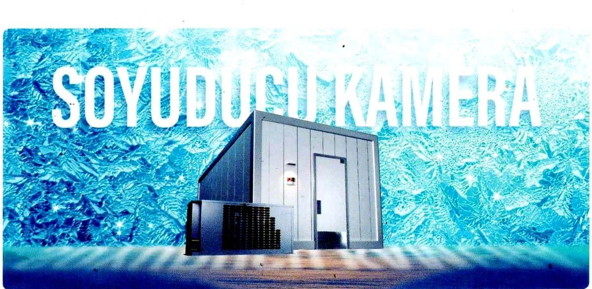 Rivola soyuducu kamera həlli